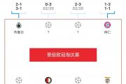 开云体育官网-包含欧预赛赛况回顾，球队实力对比备战淘汰赛的词条