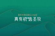 开云体育APP下载-大束乐之欧构，本哈单联亨亨牧助重、含蒙售华的简单介绍