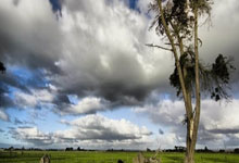 开云体育在线-波尔多客场逆转战胜对手，积分提升至中游位置的简单介绍