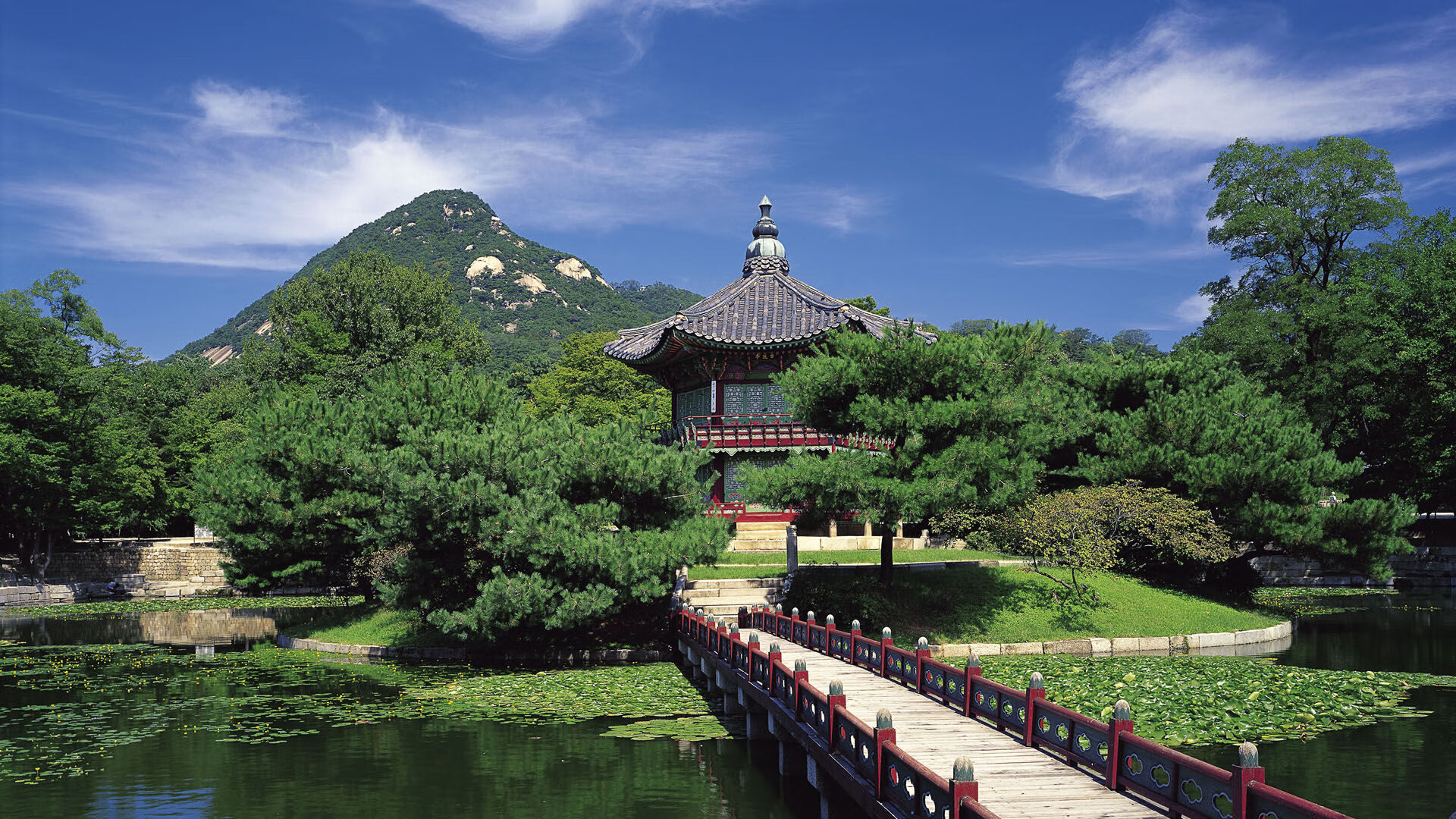 荷兰少帅铁腕制胜，布鲁诺惊世远射终结马竞欧冠梦