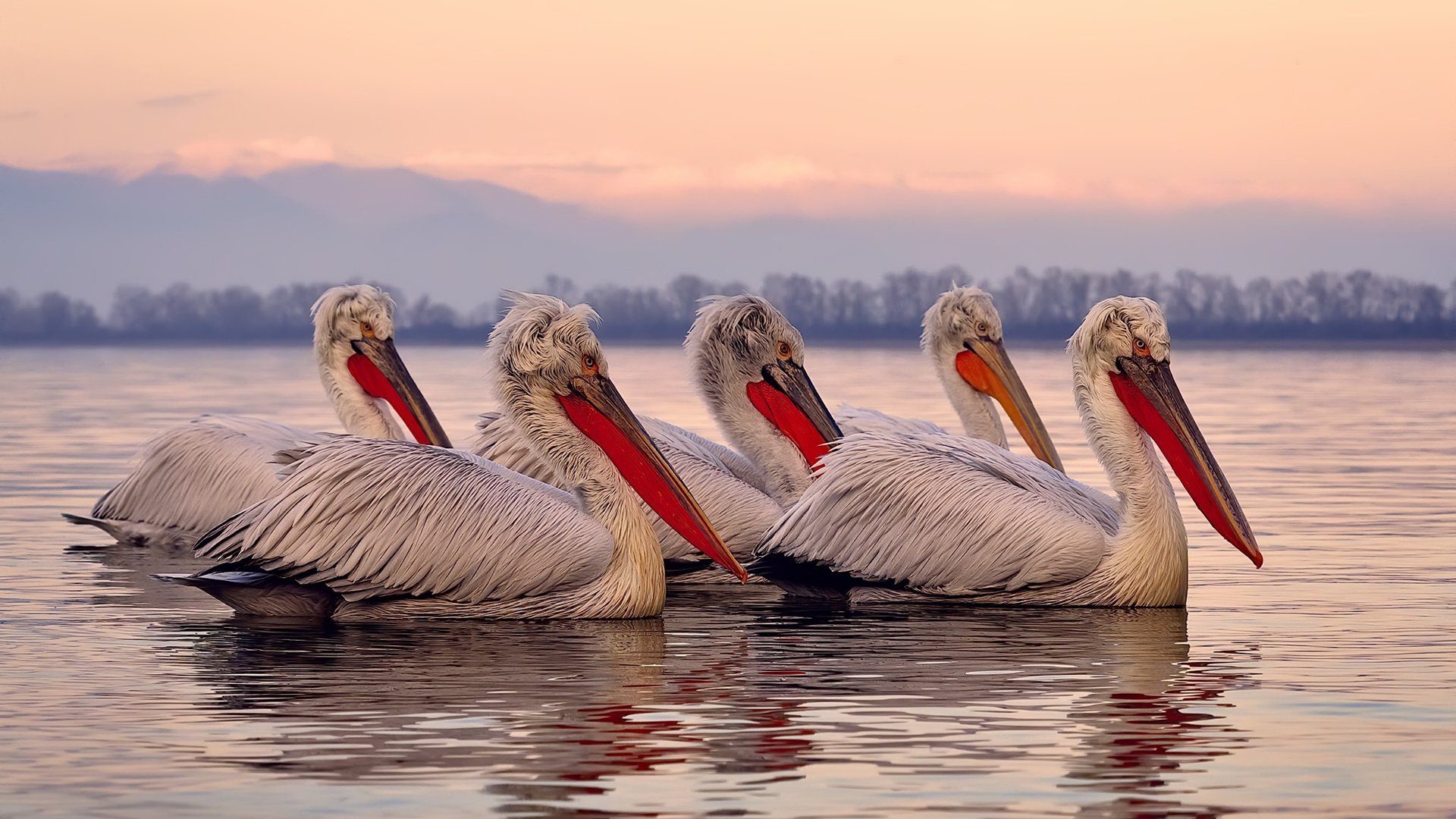 绿茵舞者维尼修斯，年度焦点之夜的绝对主宰