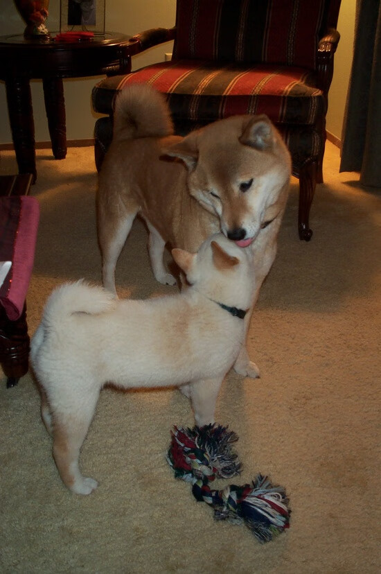 勇士关键战突围湖人，米切尔成为关键先生