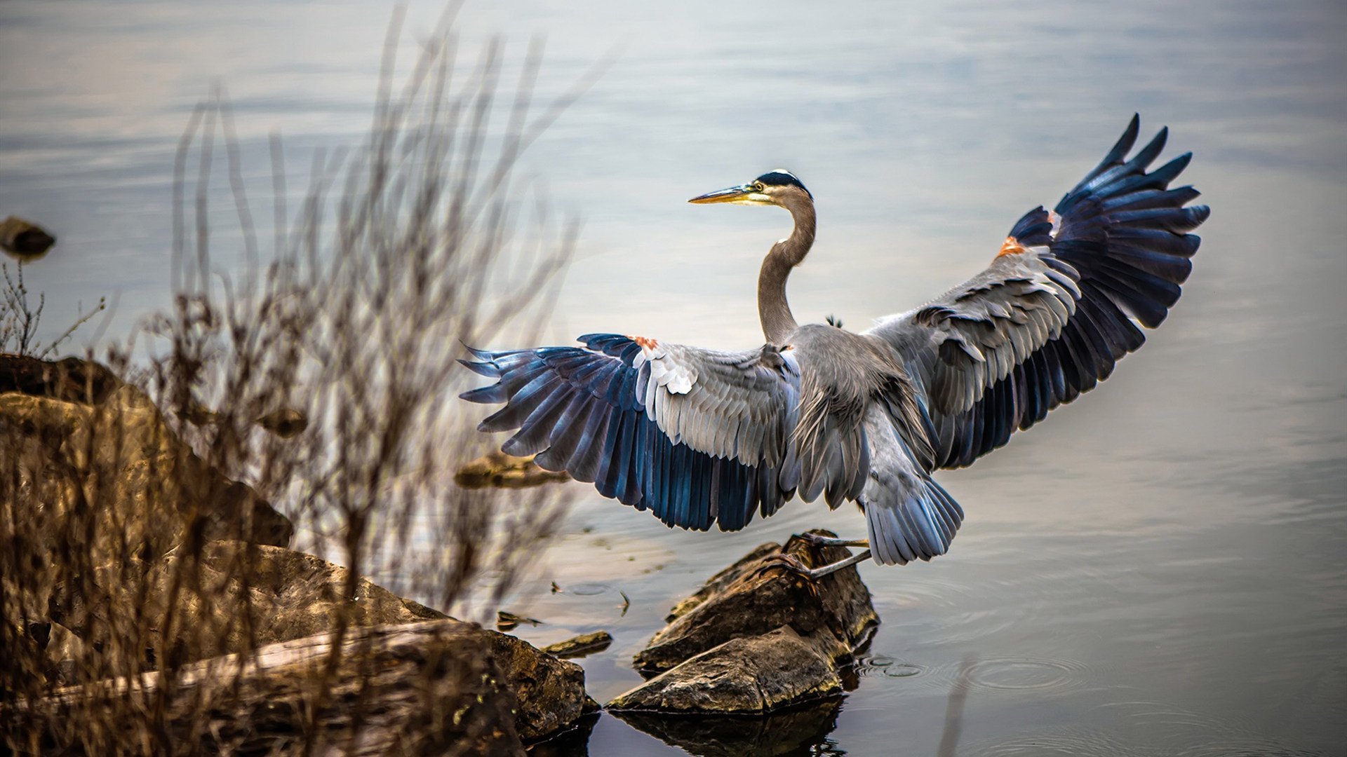 沙漠利刃与白色高墙,当亚洲雄心撞上欧洲铁壁