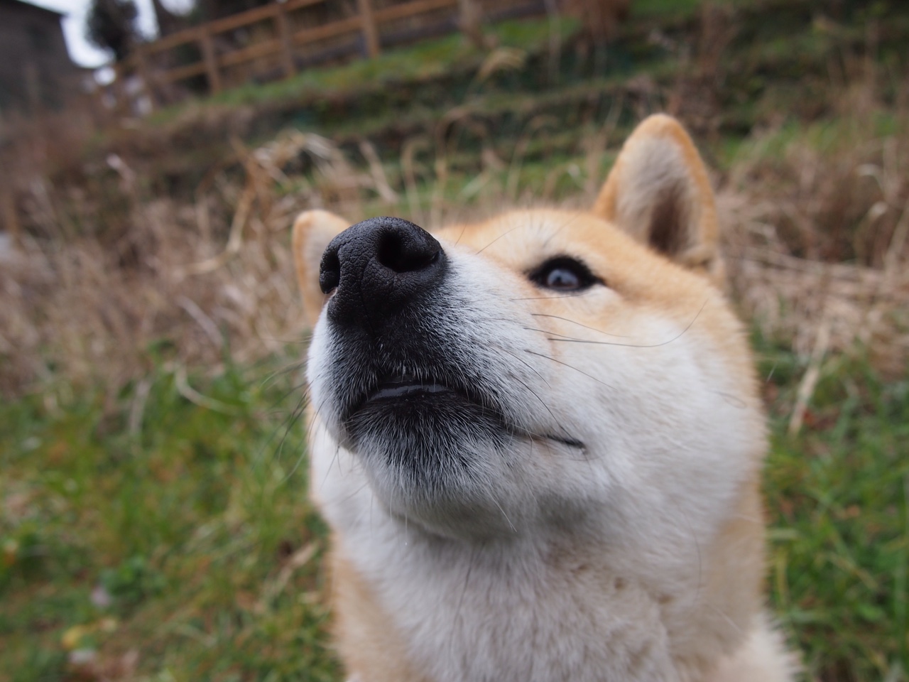 硬仗之王托尼一锤定音!莱比锡红牛力克挪威劲敌展露铁血本色