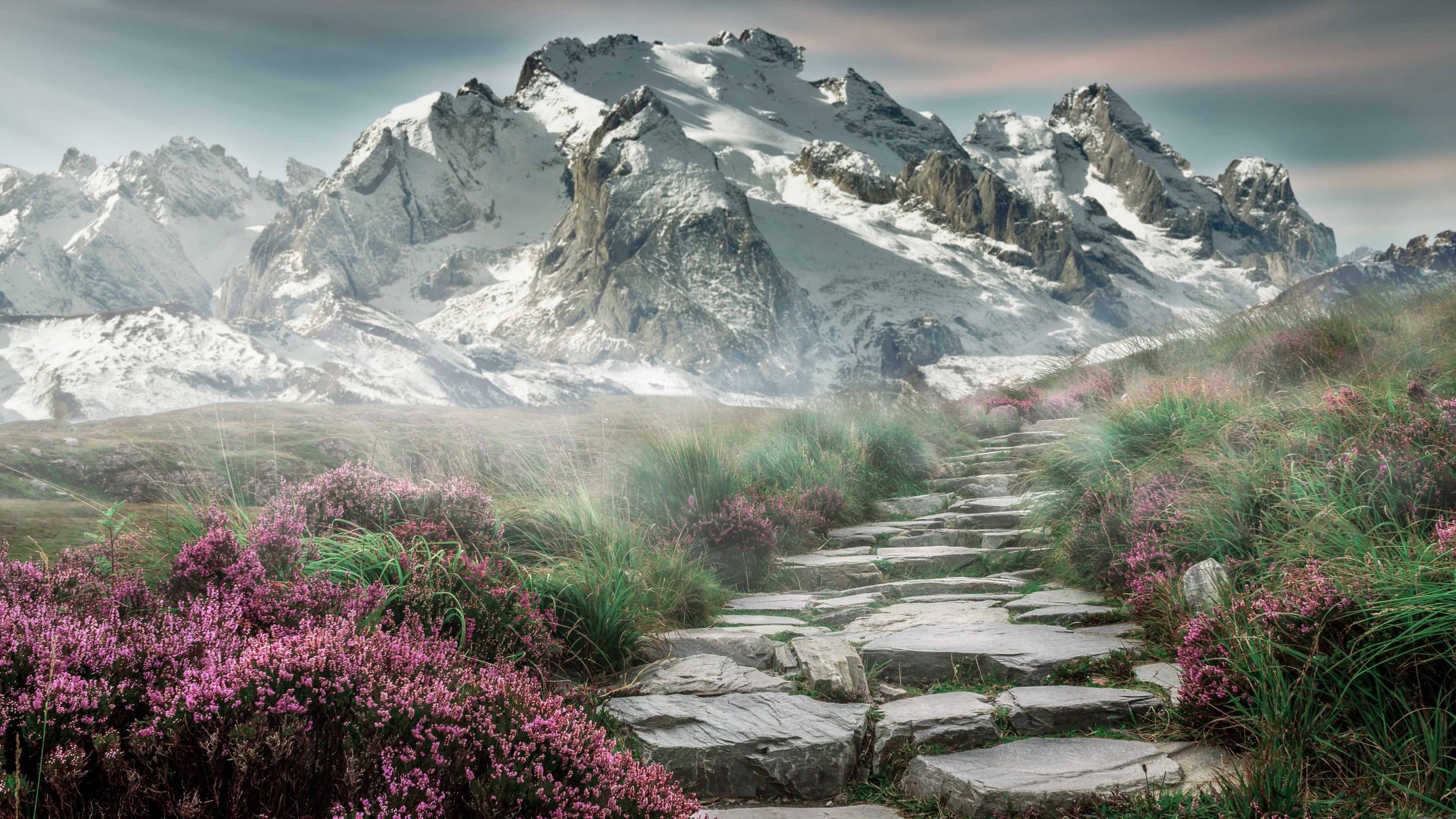 雷霆硬仗取胜开拓者,小贾伦在意甲焦点战接管比赛—跨域体育的激情交响